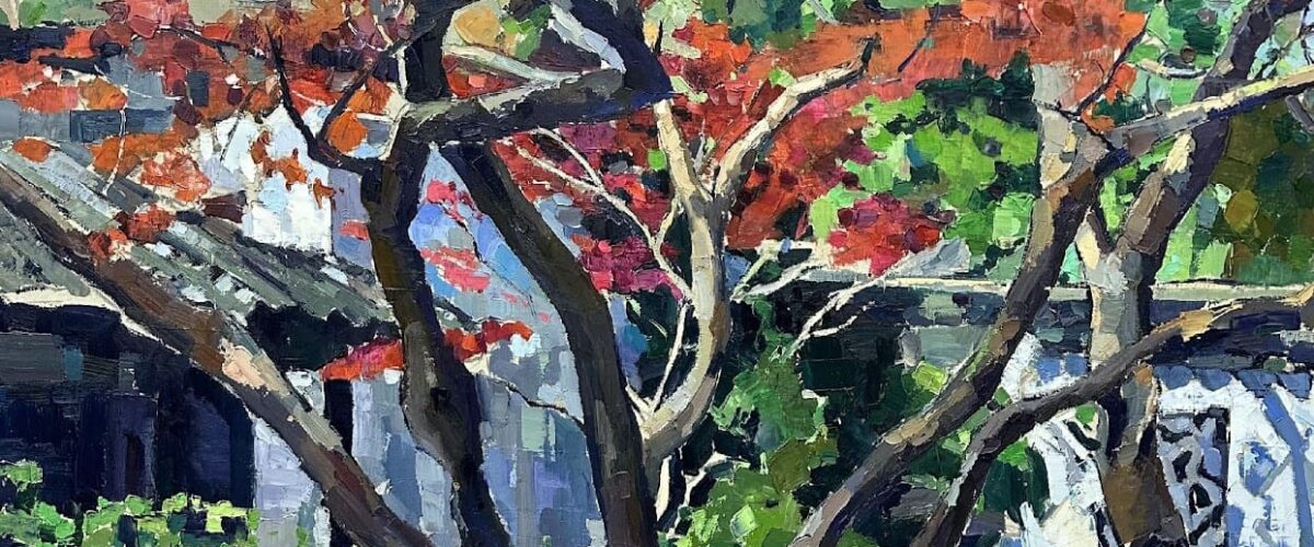 11 1200x500
